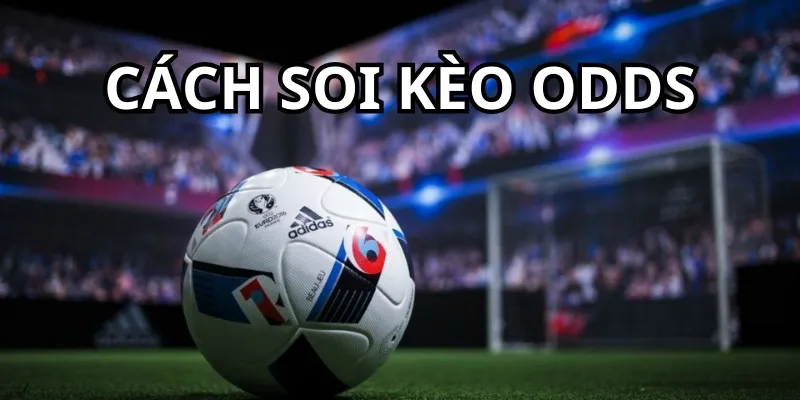 cách soi kèo odds
