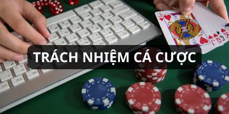 Người chơi chủ động duy trì cá cược ổn định và hiệu quả