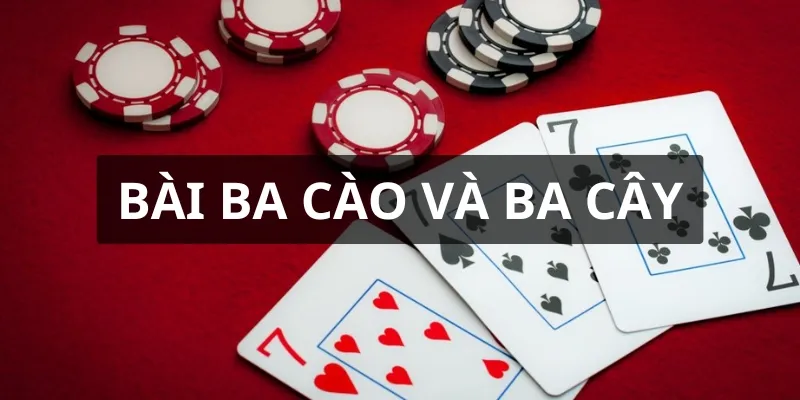 Bài Ba cào và Ba cây không phải là một