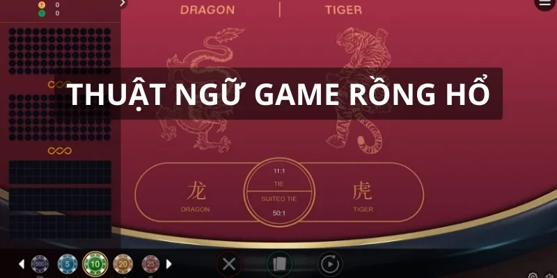 Bạn cần nắm vững thuật ngữ trong game để cá cược đúng luật