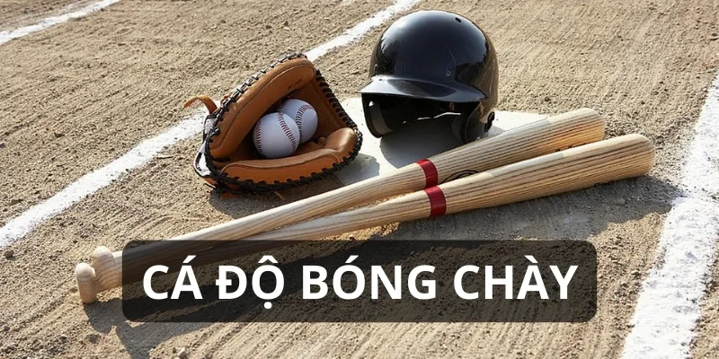 cá độ bóng chày