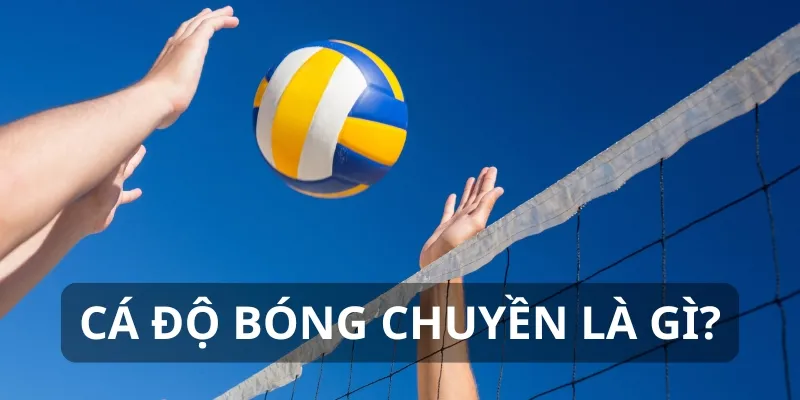 Cá độ bóng chuyền là hình thức giải trí kiếm tiền được nhiều người yêu thích