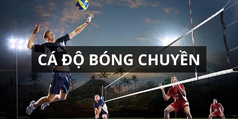 cá độ bóng chuyền