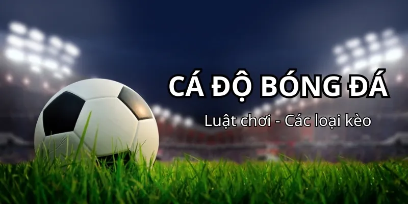cá độ bóng đá