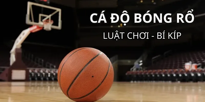 cá độ bóng rổ