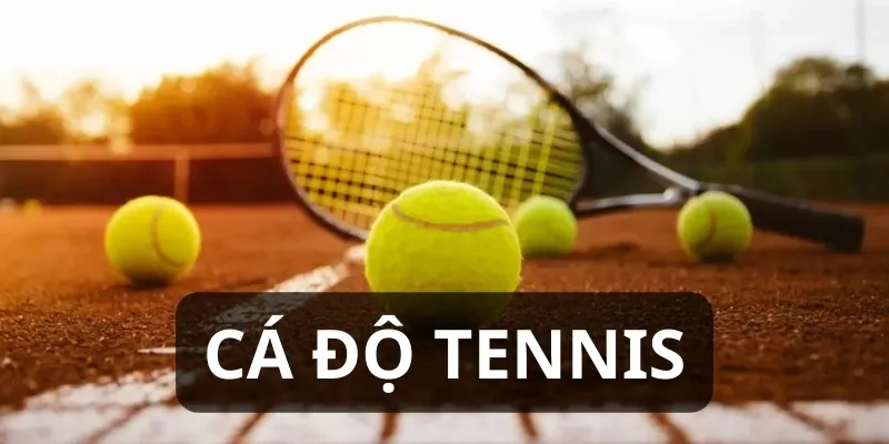cá độ tennis