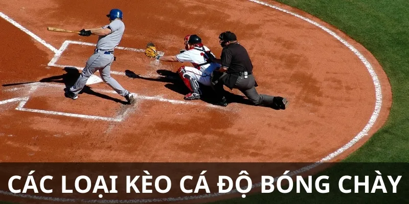 Có nhiều kèo cá độ bóng chày cho bet thủ lựa chọn