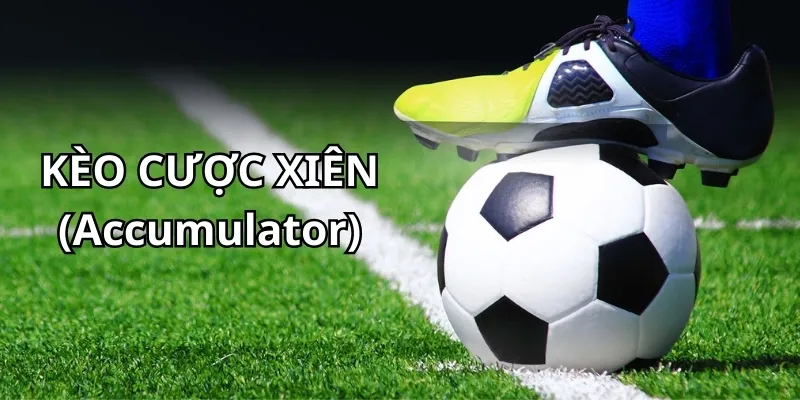 Kèo cược xiên đa dạng tỷ lệ cá độ bóng đá với mức thưởng cao